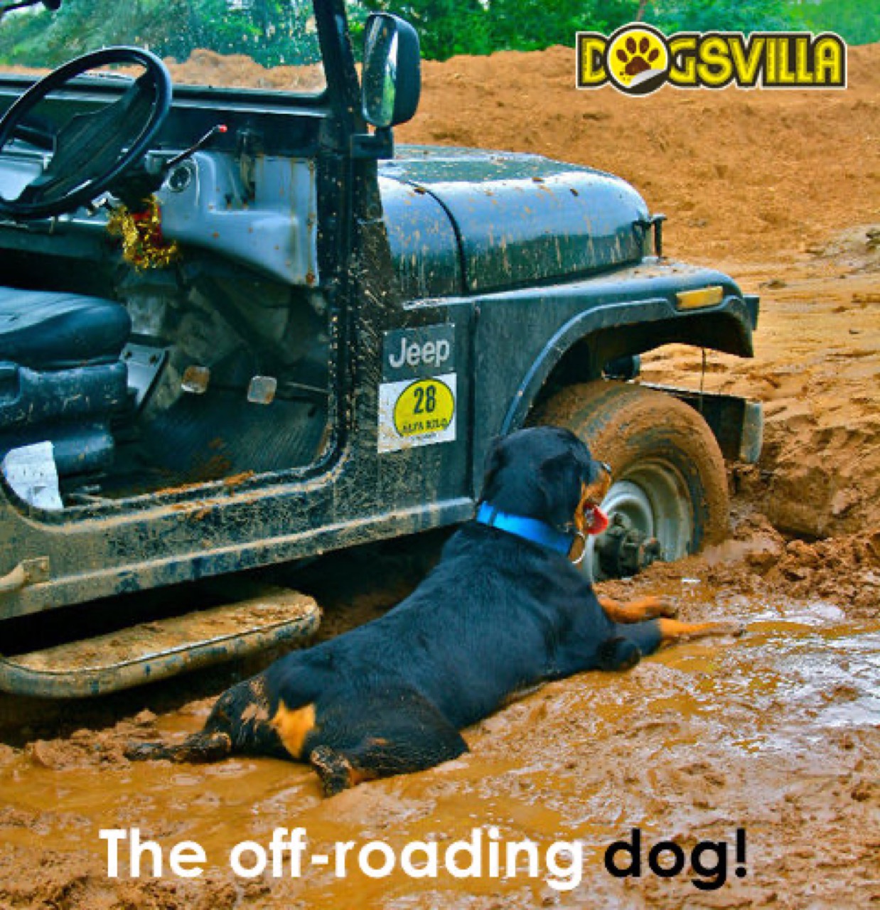 Furventures - Pet Adventures & Events - Photo 7